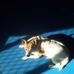 Profile Picture of Judy Bourne (@judy.bourne.169) on Facebook