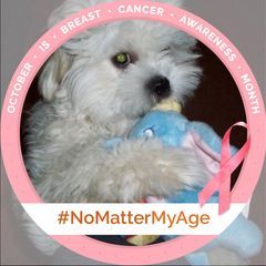 Profile Picture of Sherry Brashear (@ozzysmomma1) on Tiktok