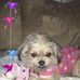 Profile Picture of Rosalind Steele (@rosalind.steele.1) on Facebook