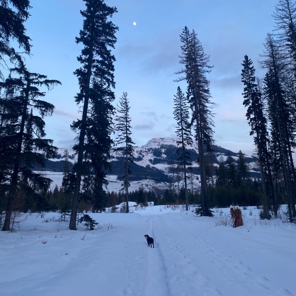 Profile Picture of Logan and terra Niehaus (@logie1716) on Poshmark