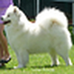 Profile Picture of Slowe2010 (@slowe2010) on Flickr