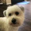 Profile Picture of josephfava10 (@@josephfava1) on Tiktok