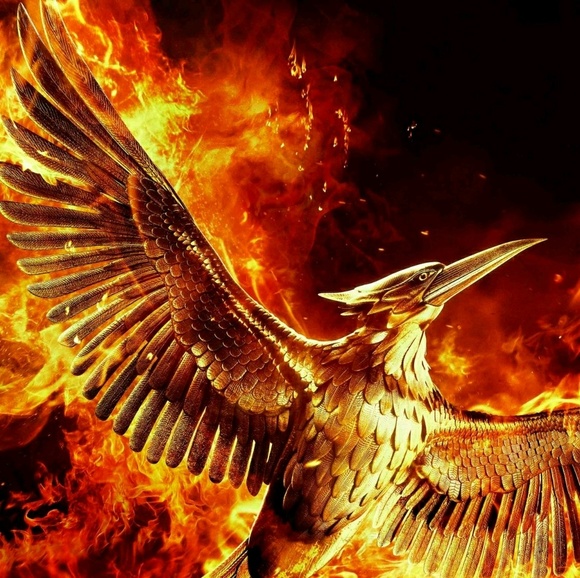 Profile Picture of James Von (@jameslaval) on Poshmark