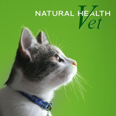 Profile Picture of Natural Health Vet (@VetNatural) on Twitter