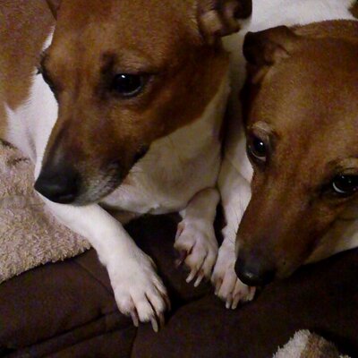 Profile Picture of Rebecca McGinn (@RebeccaMcGinn1) on Twitter