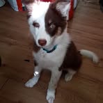 Profile Picture of Randy Bedard (@randy.bedard.969) on Facebook