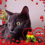 Profile Picture of Mira Stevanović (@mirastevanovic6) on Instagram