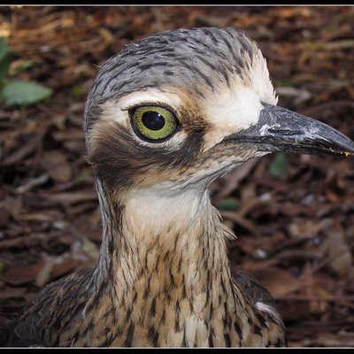 Profile Picture of James Tremain (@jatremain) on Twitter