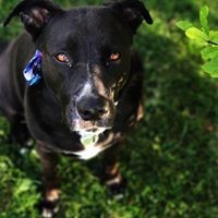 Ahnika Wegeng - Quora Profile Picture of Ahnika Wegeng (@ahnika-wegeng) on Quora