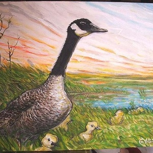 Profile Picture of Peter Gullerud (@flywithwoundedwings) on Myspace