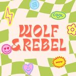 Profile Picture of Wolf & Rebel ✿ self care shop (@shopwolfandrebel) on Instagram