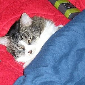 Profile Picture of Brandon Tepley (@tepley) on Myspace