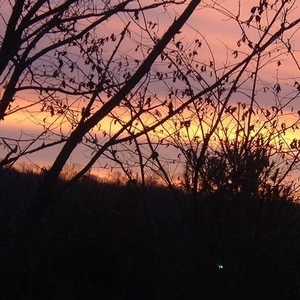 Profile Picture of Patrick Abicht (@106652286) on Myspace