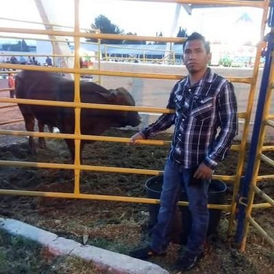 Profile Picture of Abraham Vicente Tapia Escobedo (@Abraham50820700) on Twitter