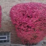 Profile Picture of Timothy Stokes (@stokestimothy) on Instagram