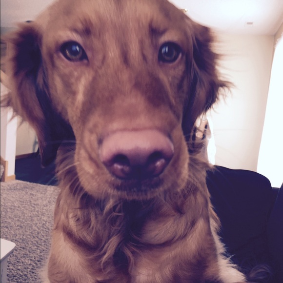 Profile Picture of Holly Wiborg (@polly454) on Poshmark