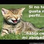 Profile Picture of Simon Mendez (@simonmendez3860) on Instagram