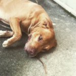 Profile Picture of Jacob (@jacob_bethune3) on Instagram