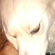 Profile Picture of Taketa Skits (@taketaskits813) on Youtube