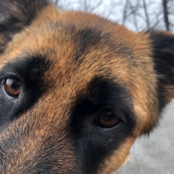 Kathleen Fildes - Poshmark Profile Picture of Kathleen Fildes (@kathleenfildes) on Poshmark