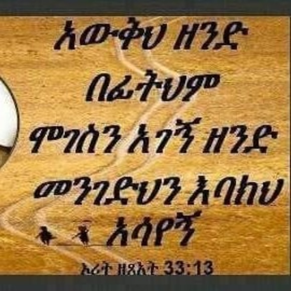 Profile Picture of Efraim Abberra (@efraimabberra) on Poshmark