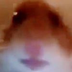 Profile Picture of Aidan (sizzels) (@aidan.holmes22) on Instagram