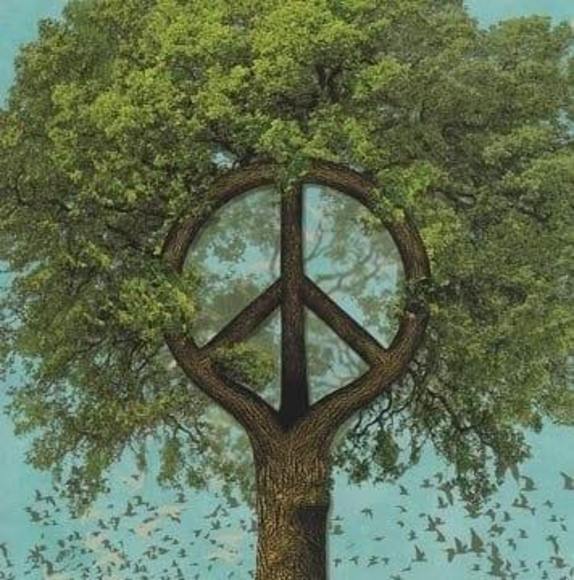 Profile Picture of Nicole Ribner (@nicoleribner) on Poshmark