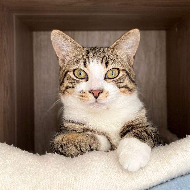 Profile Picture of scottlebg (@scotlebg) on Tiktok