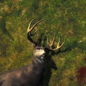 Tyler Berg - Myspace Profile Picture of Tyler Berg (@153967076) on Myspace