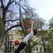 Profile Picture of Brendan Kent (@xmankent) on Pinterest