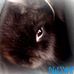 Profile Picture of Dwayne Côté (@dwayne.cote.79) on Facebook