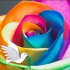 Profile Picture of Alison Potts (@@alisonpottsa30) on Tiktok