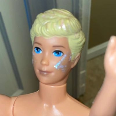 Profile Picture of Botched Ken Doll (@n_loufman) on Twitter