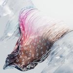 Profile Picture of Rolando Barry (@honear) on Instagram