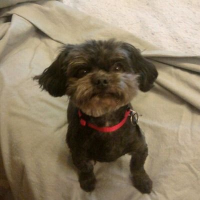 Profile Picture of Shelly Smit (@suziqsue) on Twitter