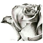 Profile Picture of Bianca Wells (@biancawells7581) on Instagram