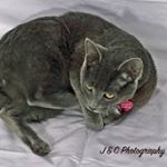 Profile Picture of Jasmine Christopher (@jandcphotography2017) on Instagram