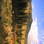 Profile Picture of Partridge (@1682juanzftbal) on Instagram