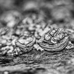 Profile Picture of Jonathan Brookes (@youbmh) on Instagram