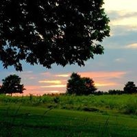 Profile Picture of Kim Wentzel-dehart (@kim-wentzel-dehart) on Quora