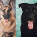 Alexander Rexroth - Facebook Profile Picture of Alexander Rexroth (@alexander.rexroth.90) on Facebook