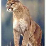 Profile Picture of Epifanio López (@lopez_epifanio) on Instagram