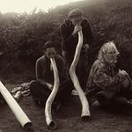 Profile Picture of Mike Bayliss (@sparky.mitch) on Instagram