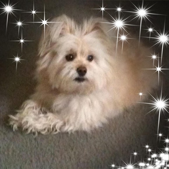 Profile Picture of Janet Soda (@jlsodapop) on Poshmark