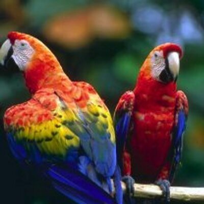 Profile Picture of Subhadeep Chatterjee (@Dipak212chat) on Twitter