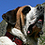 Profile Picture of Norbert Bärlocher (@norbert bärlocher-caflisch) on Flickr