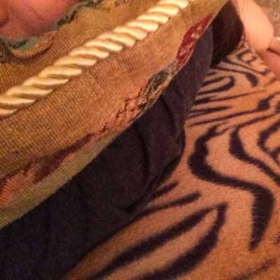 Profile Picture of Karl Emae (@shima_brian) on Twitter