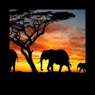 Profile Picture of Aaron Dodds (@ajododds) on Twitter