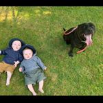 Profile Picture of Marcus Dowsey (@marcusdowsey) on Instagram