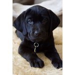 Profile Picture of Sherryjanel (@sherryjaimes) on Instagram